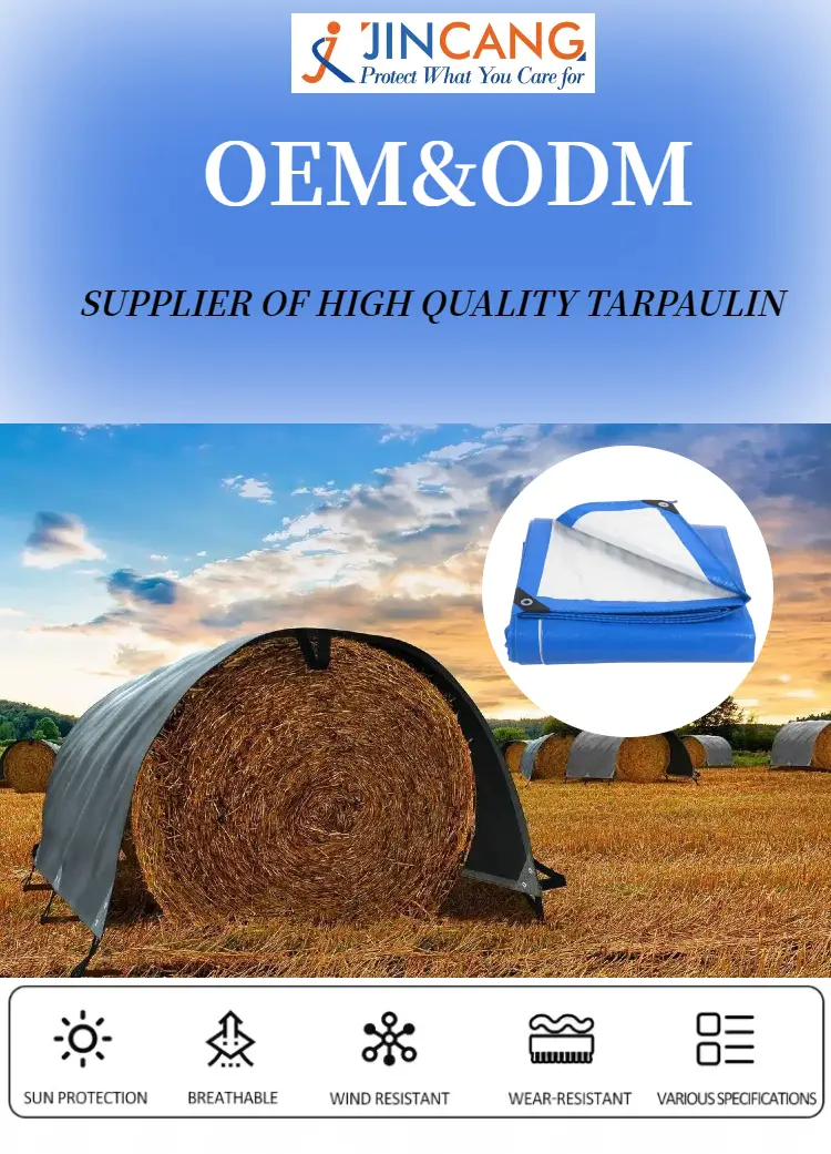 50 GSM Blue PE Tarpaulin