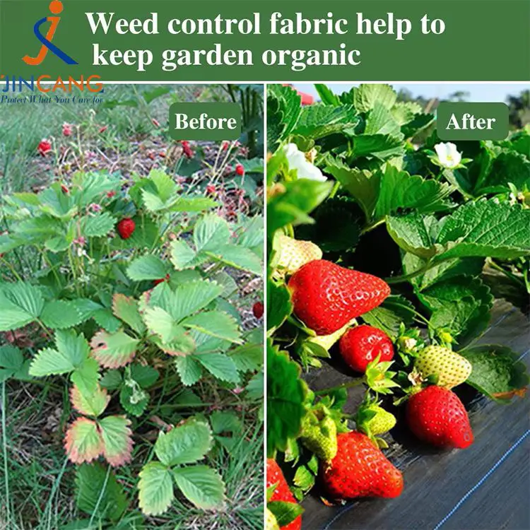 Контрола на плевел