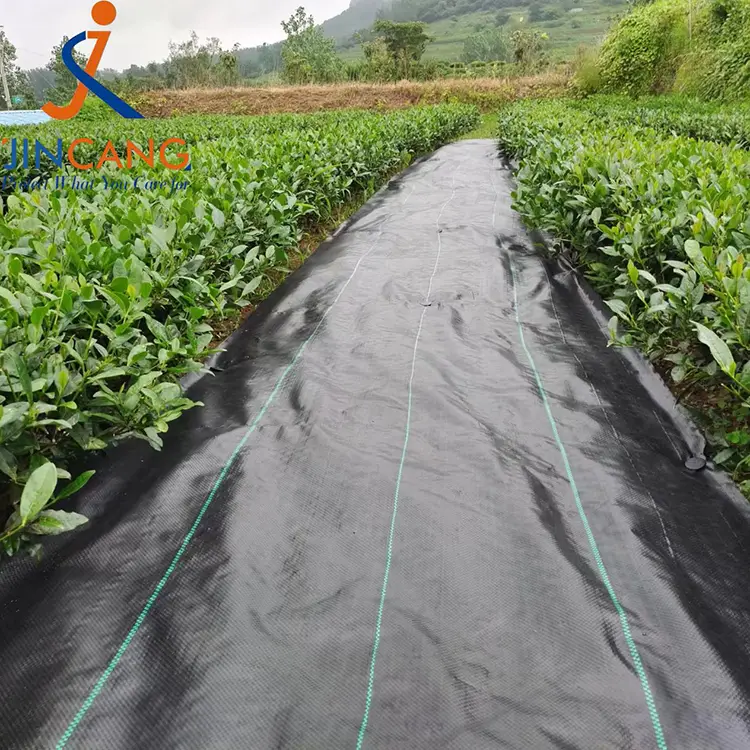 Контрола на плевел