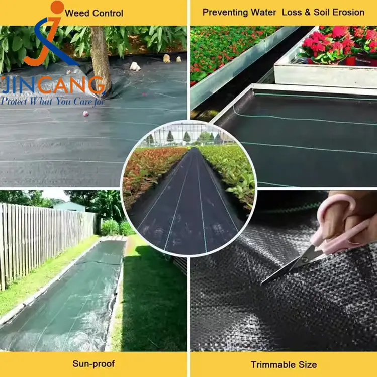 Контрола на плевел