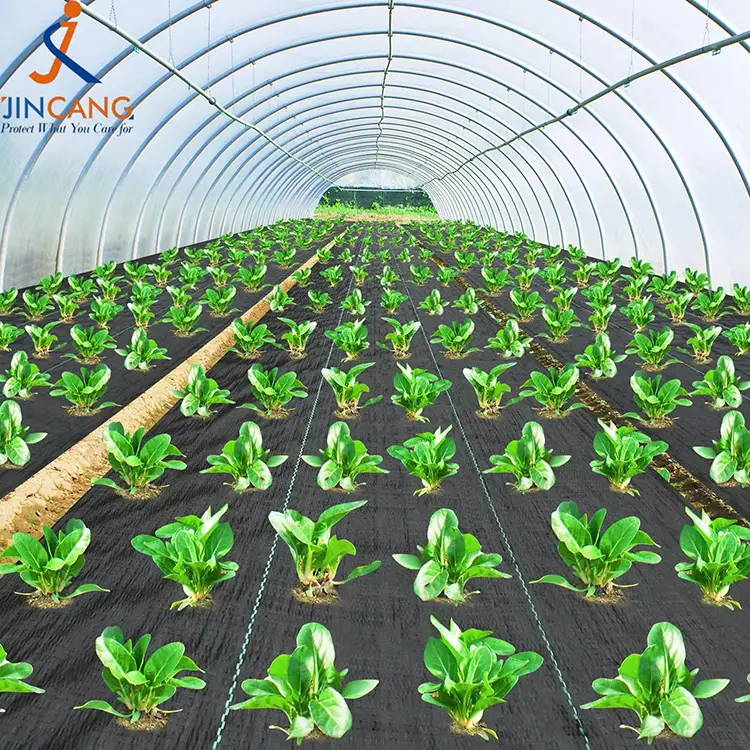 Контрола на плевел